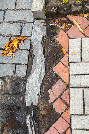 Sidewalk Pattern, Savannah