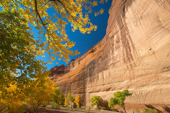 Canyon Wall, Cottonwoods, Canyon de Chelly