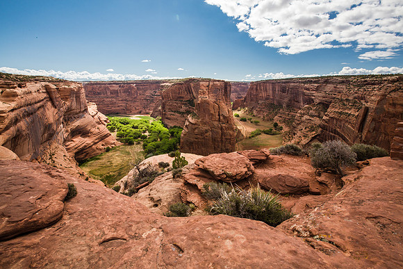 Branches of the Canyon, Canyon de Chelly, Arizona