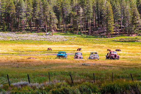 Out to Pasture, Trucks and Horses, Ohio City
