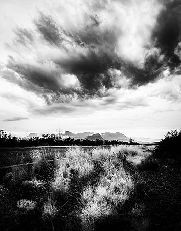 Chisos Mountain, Grasses and Clouds; Big Bend NP
