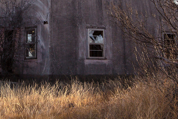 Abandoned Building Detail, Winter Grasses, Whiteflat, TX