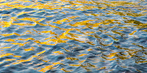 Reflected Light, Snake River, WY