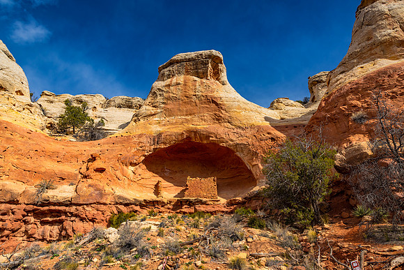 Canyon of the Ancients National Monument