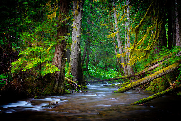 Panther Creek Falls, Oregon