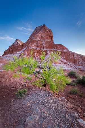 Palo Duro Canyon, Texas