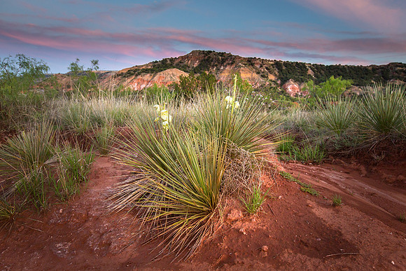 Palo Duro Canyon, Texas