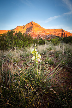 Palo Duro Canyon, Texas
