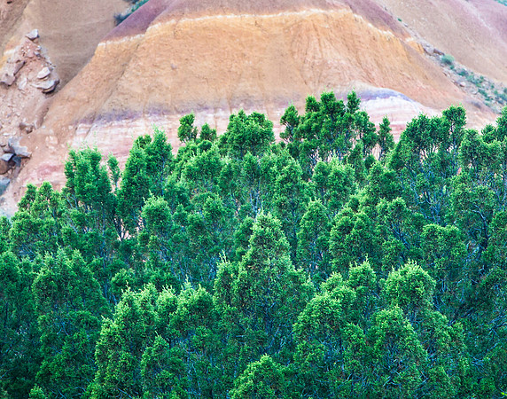 Palo Duro Canyon, Texas