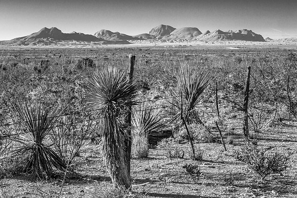 Big Bend Mountain Range