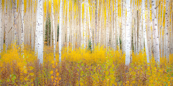 Intl Landscape Photo of the Year.   #225 of 3813