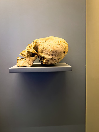 Museo Amparo, Puebla