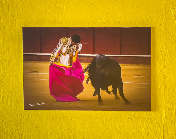 Testimonial, Tlaxcala Bullring