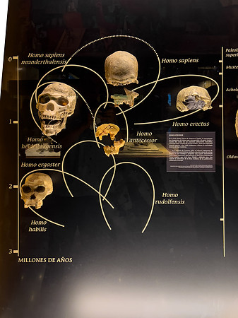 Anthropological Museum, Mexico City