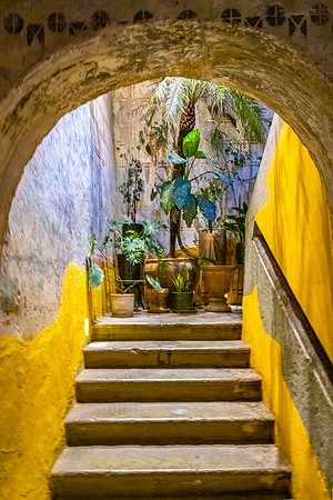 Stairway to Los Danzantes Restaurant