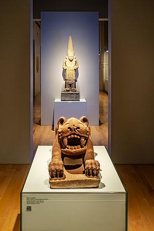 Museo Amparo