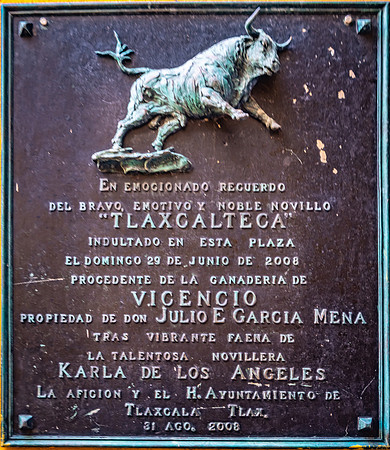 Testimonial, Tlaxcala Bullring