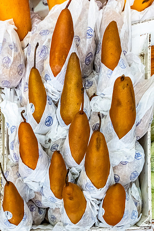 Mexico City, Coyoacan Market