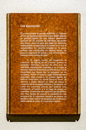Mexico City, Anthropology Museum (Los Danzantes Notes)
