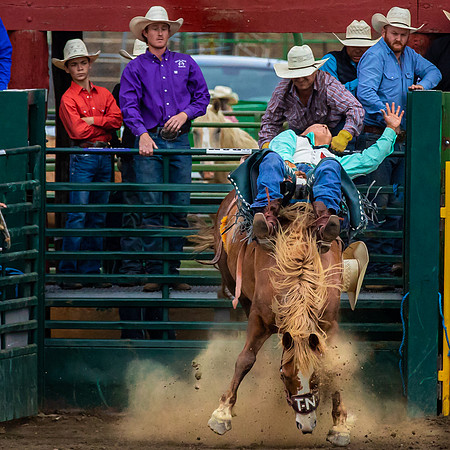The Gunnison Rodeo; Cattlemen's Days