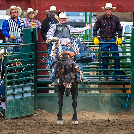 The Gunnison Rodeo; Cattlemen's Days