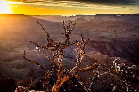 Grand Canyon