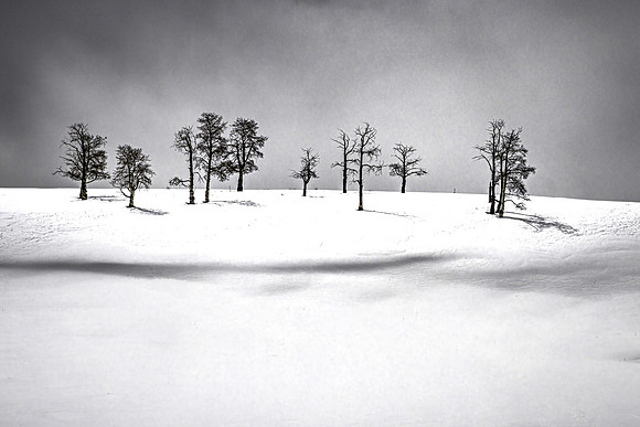 Wintry Hill, Dallas Divide