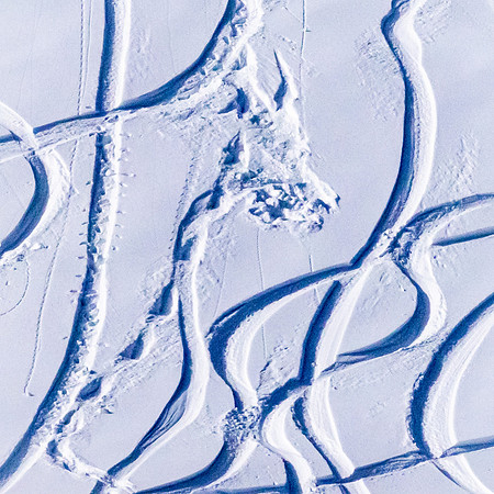 Wolf-tracks?