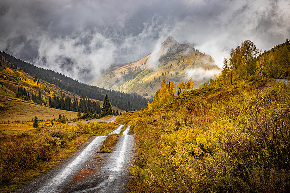 Campsite Road; Paradise Divide in Fog