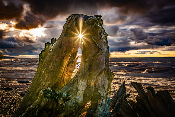 Lake Superior Driftwood