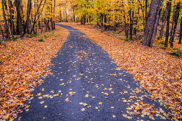 County Road, Michigan UP, October 2012