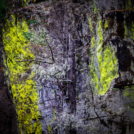 Umpqua National Forest, Oregon