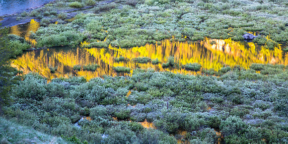 Wetlands Reflection, Slate River Valley, near Crested Butte