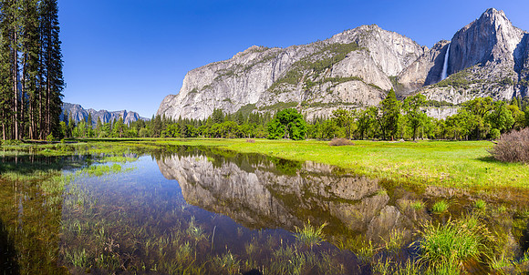 Yosemite NP