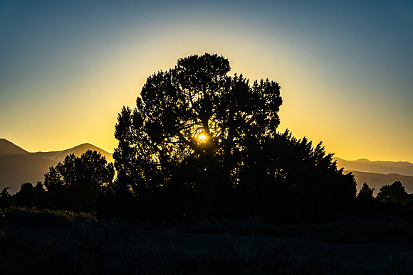 Sunrise, Mammoth Lakes, CA
