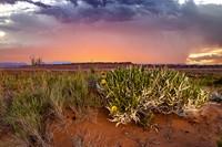 Hanksville