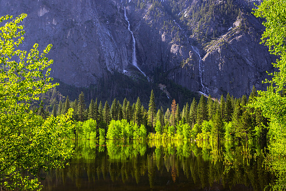 Yosemite NP