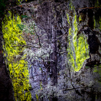 Umpqua National Forest, Oregon