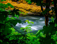 Umpqua National Forest, Oregon