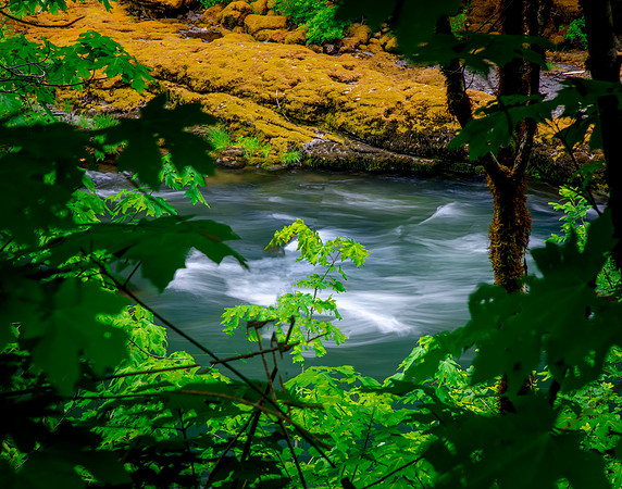 Umpqua National Forest, Oregon