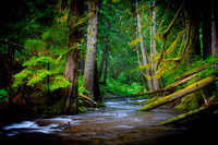 Panther Creek Falls, Oregon