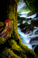 Panther Creek Falls, Oregon