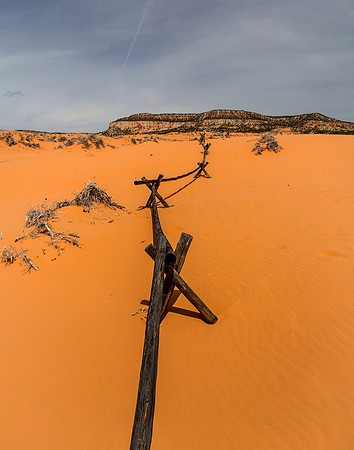 Fenceline, Coral Pink Sand Dunes State Park, Utah