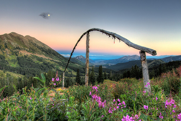 Fireweed, Washington Gulch Valley View at Dusk