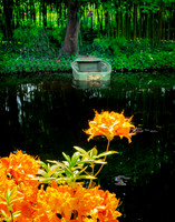 Giverny, Monet's Garden