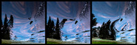 Reflections in the Wake, Triptych