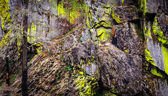 Umpqua National Forest, Oregon
