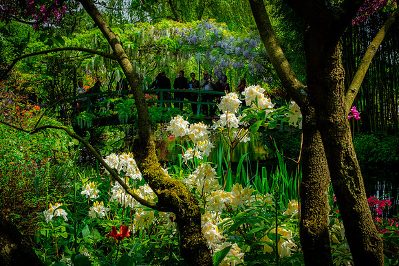 Giverny, Monet's Garden