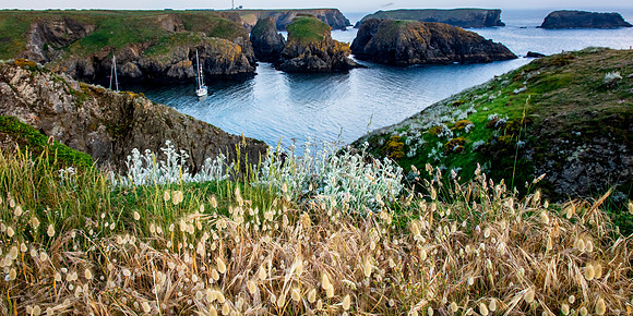Harbor View, Belle ile