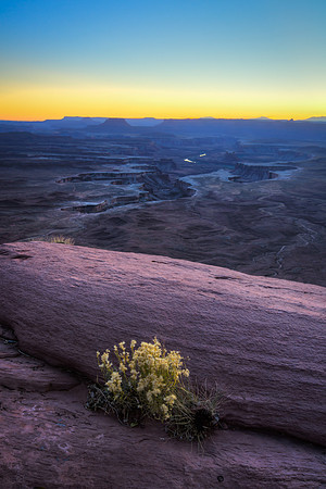 Green River Overlook, Canyonlands NP, Utah